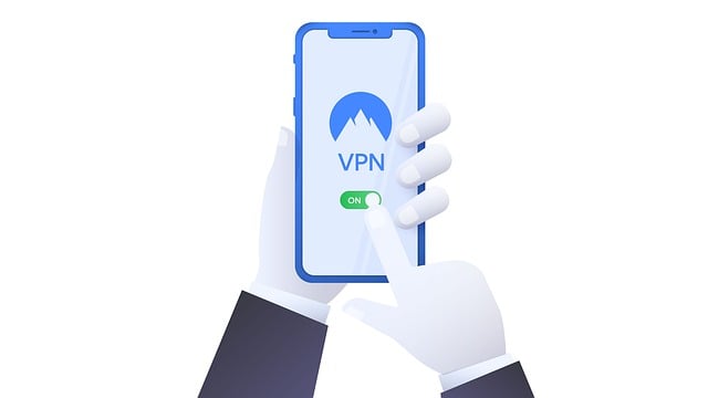 VPN