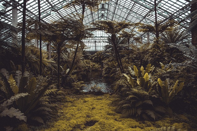 eco