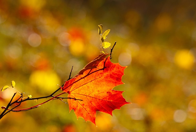 seasonal