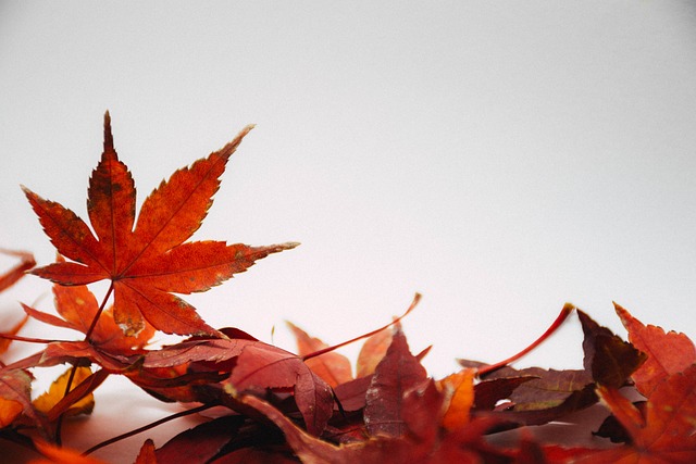 seasonal