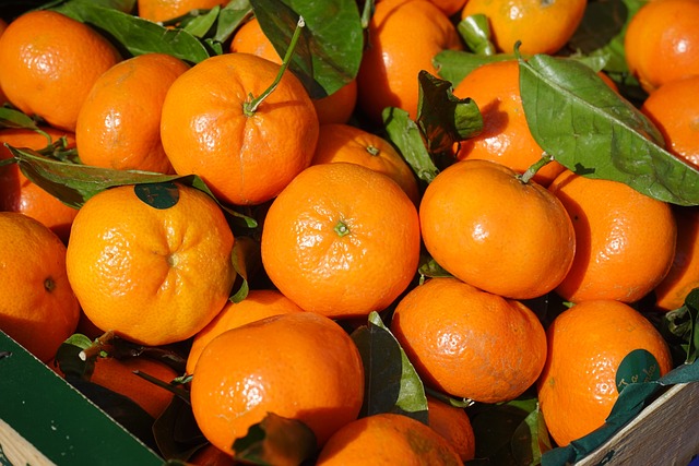 citrus