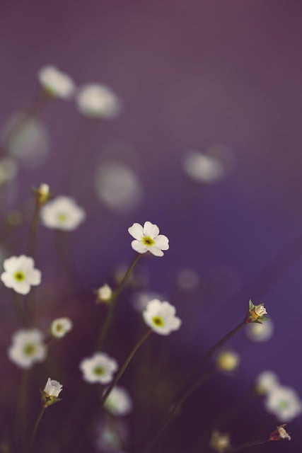 floral