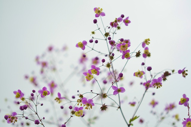 floral