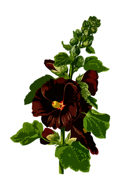 herbal-640x480-82883497.png