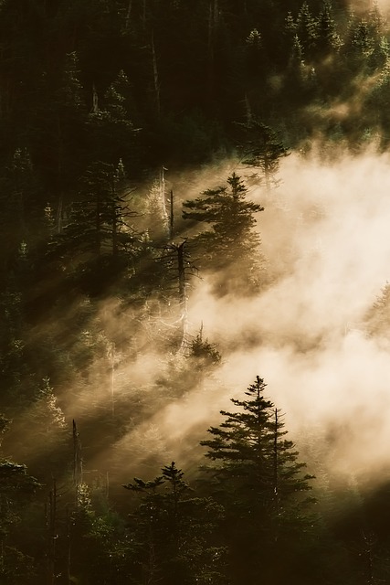 smoky-640x480-53872732.jpeg