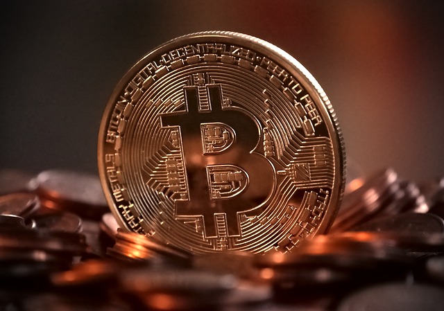 bitcoin-cash