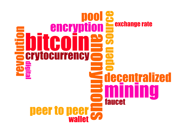 bitcoin-cash