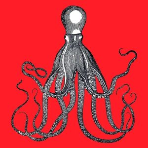 kraken-640x480-58416982.jpeg