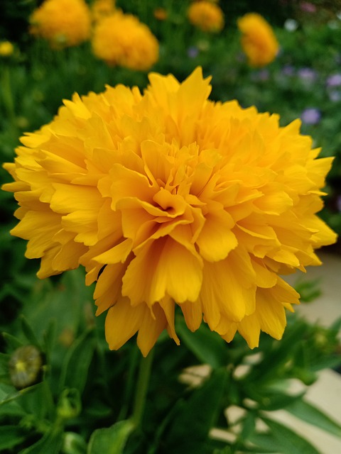 solana