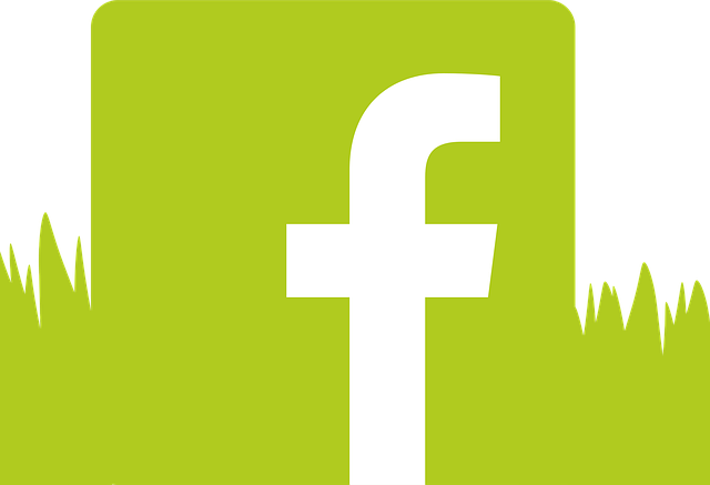 fb