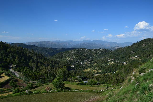 pakistan