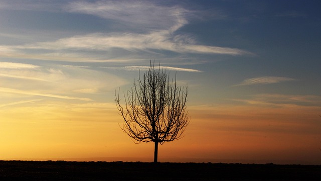 weather-tomorrow-640x480-75693021.jpeg