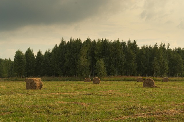 august-640x480-19301024.jpeg