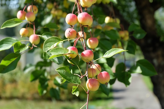 August
