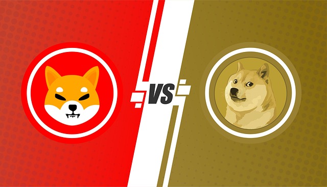 aus vs wi