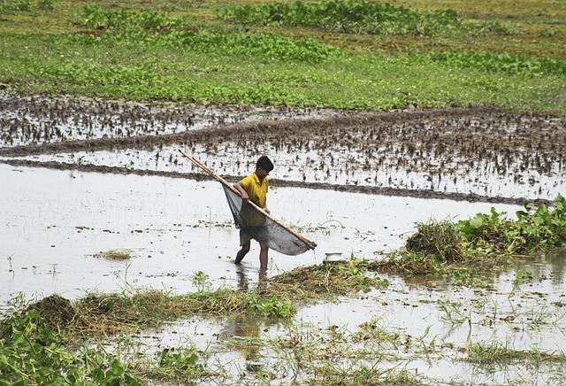 Bangladesh