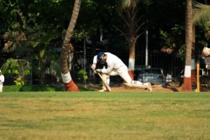 cricket-640x480-21919585.jpeg