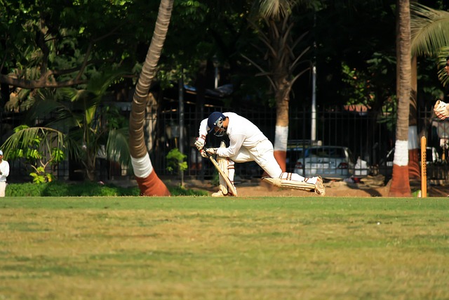 cricket-640x480-21919585.jpeg