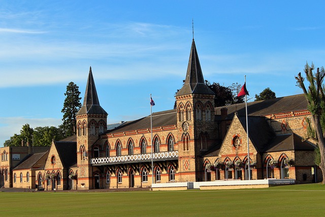 cricket