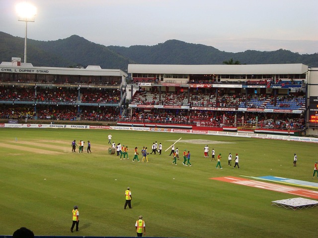 Cricket Team