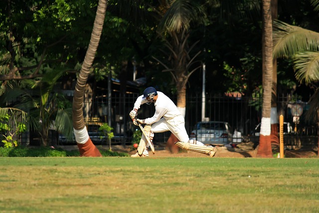 Cricket Team