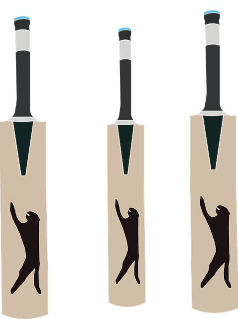 England cricket team