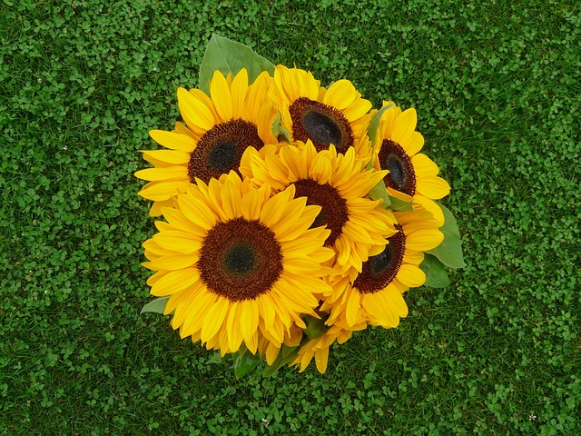 july-640x480-32727134.jpeg