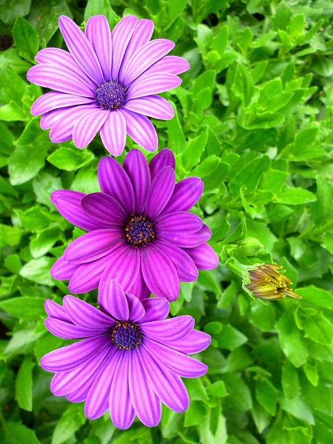 July