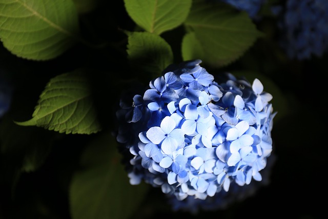 july-640x480-64572430.jpeg