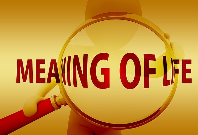 Meaning