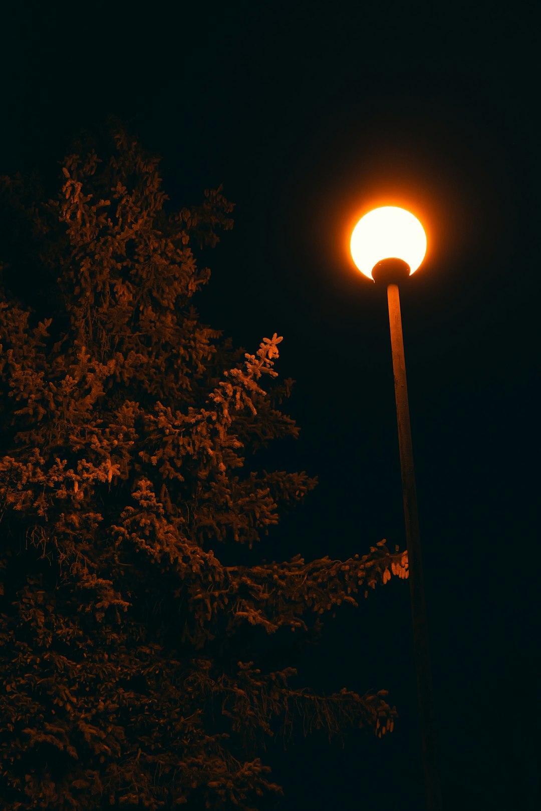 mlc