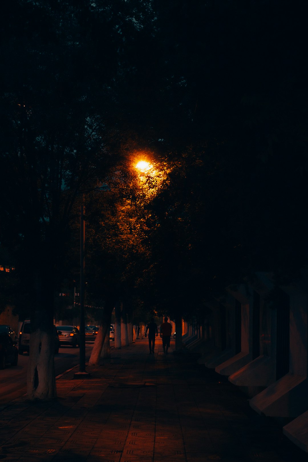 mlc