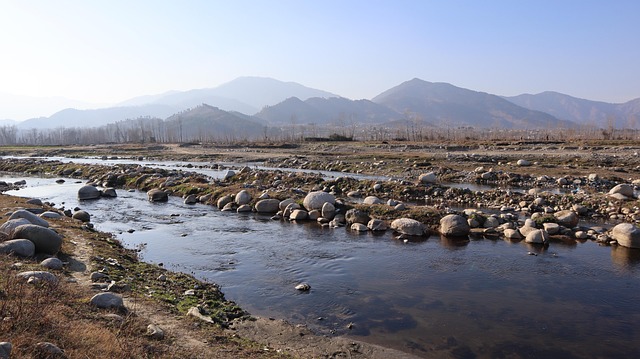 pakistan
