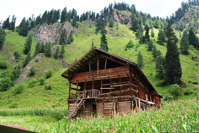 pakistan