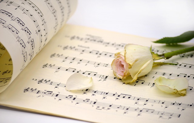 song-640x480-47029015.jpeg