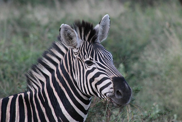 South Africa