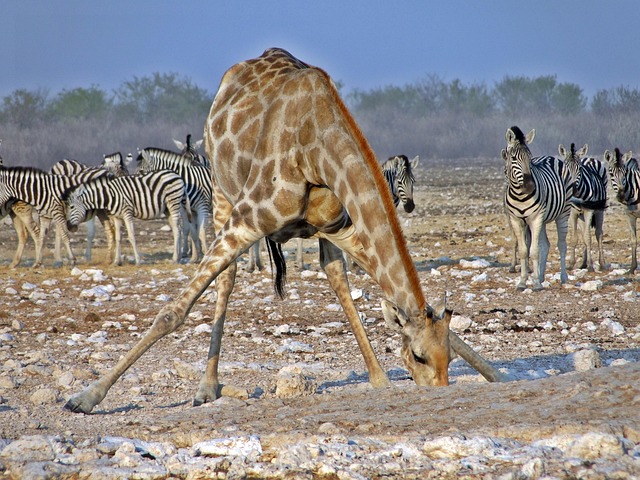 South Africa