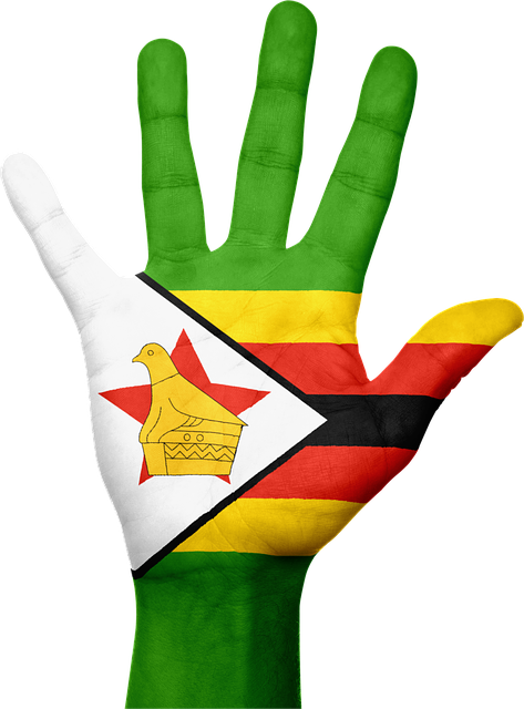 south-africa-vs-zimbabwe-640x480-94947750.png