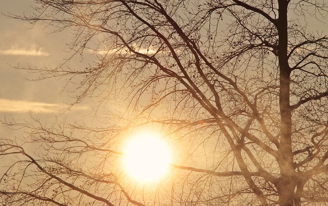 today weather