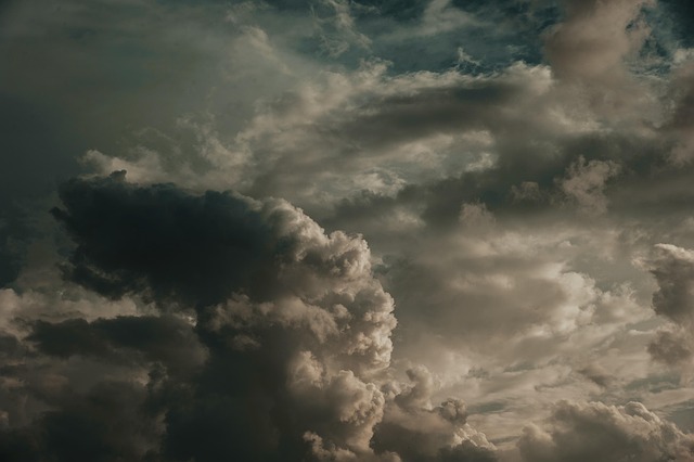 Understanding Heatwaves vs. Heat Index in Today’s Weather
