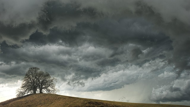 weather