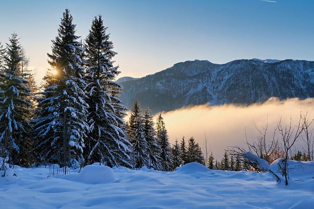 Understanding Fog’s Impact: Weather Patterns and Travel Safety