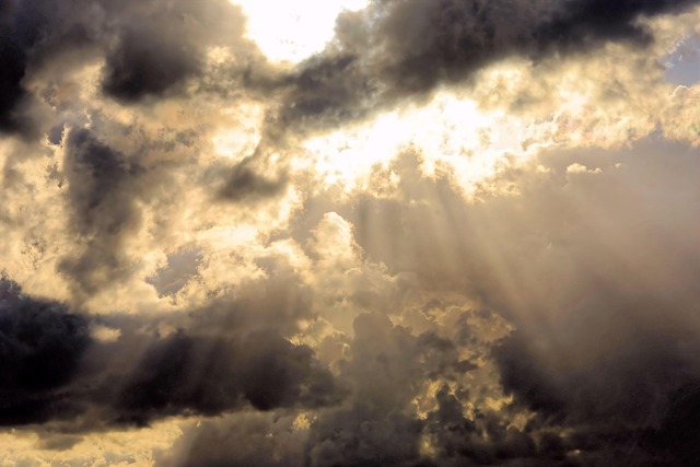 Recognize Hurricane Signs: Wind, Water, and Animal Instincts