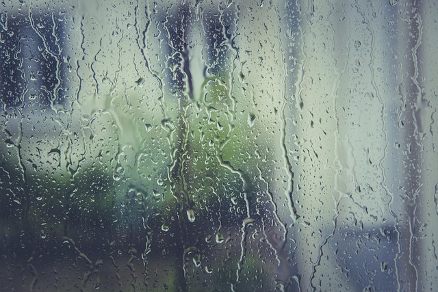 weather