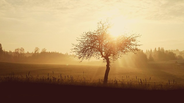 weather-tomorrow-640x480-33027607.jpeg