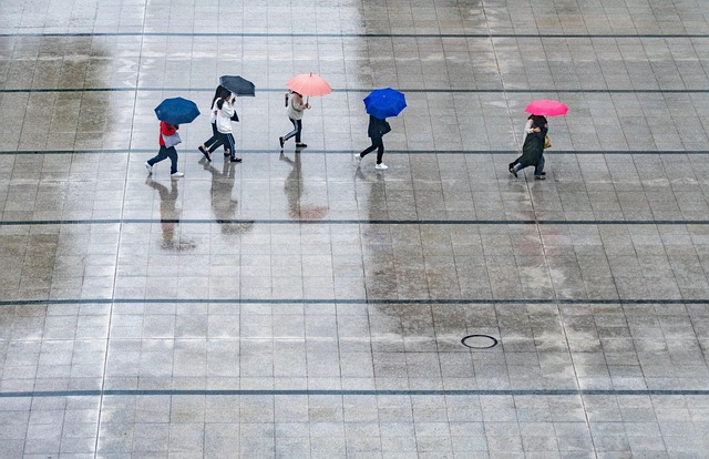 Mastering Your 7-Day Weather Forecast: Step-by-Step Guide