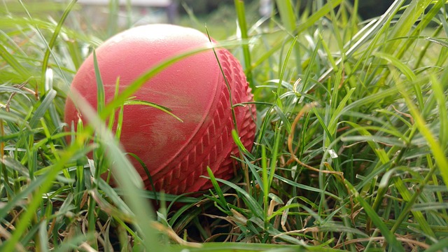 West Indies cricket team