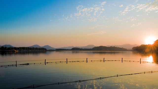 Mastering Spin in West Indies: A Local Pitch Guide