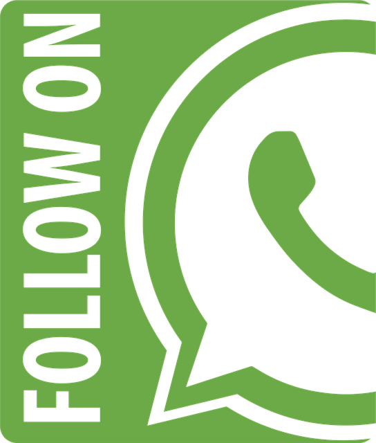whatsapp web