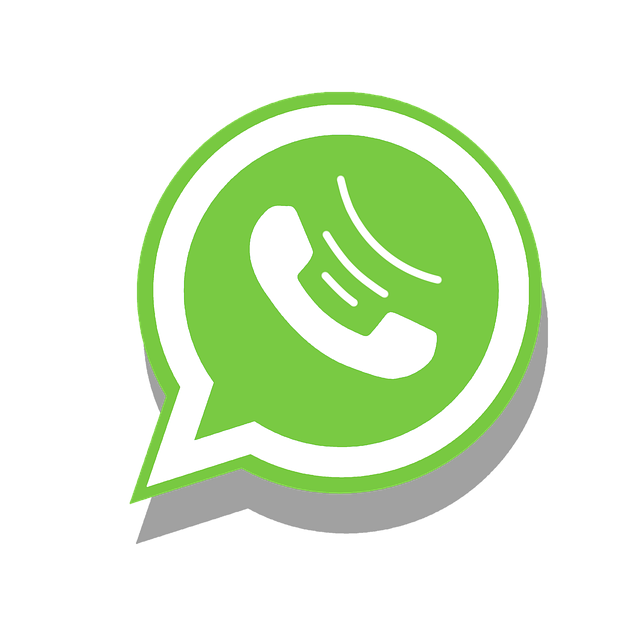 Create Engaging WhatsApp Web Business Profile Guide